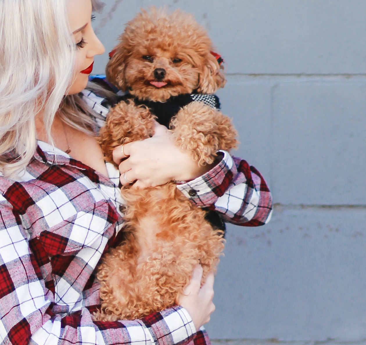 Plaid Button Up | StyledByBlondie.comPlaid Button Up + Red Maltipoo | StyledByBlondie.com
