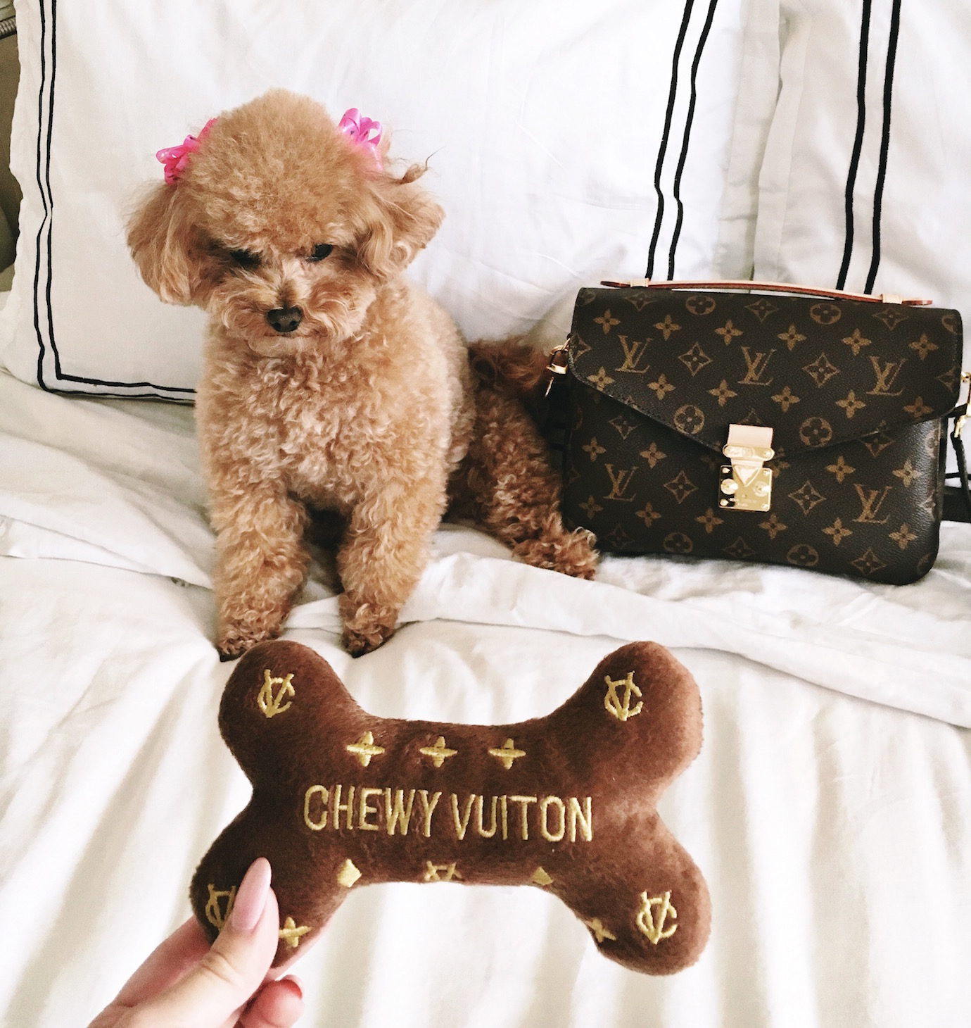 Blondie in the City | Instagram @HayleyLarue | Louis Vuitton Pochette Metis | Chewy Vuitton Dog Toy
