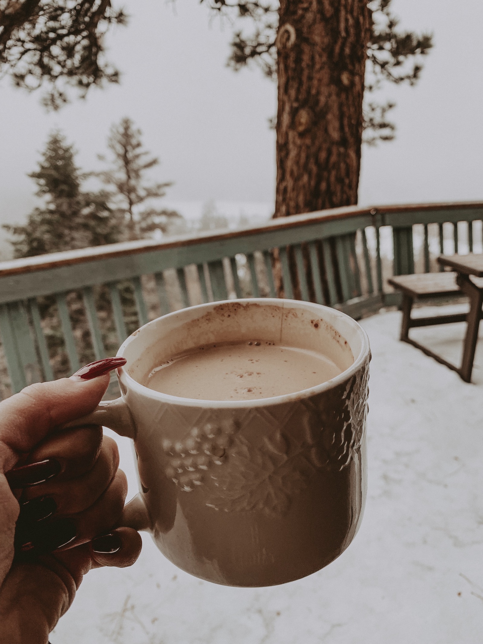 A Weekend in Big Bear for New Year's | Winter Wonderland | Travel Inspo | Mountains | Winter Trip | Blondie in the City by Hayley Larue