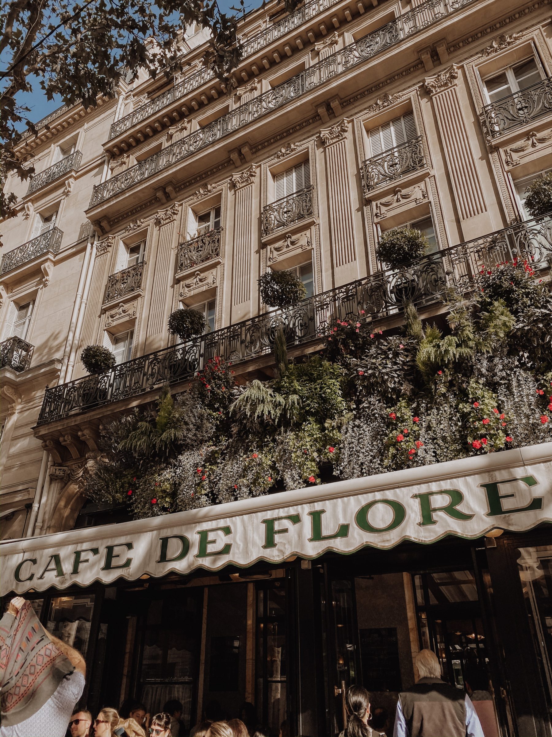 Cafes To Visit in Paris | Paris Cafes | Cafe De Flore | Blondie in the City by Hayley Larue