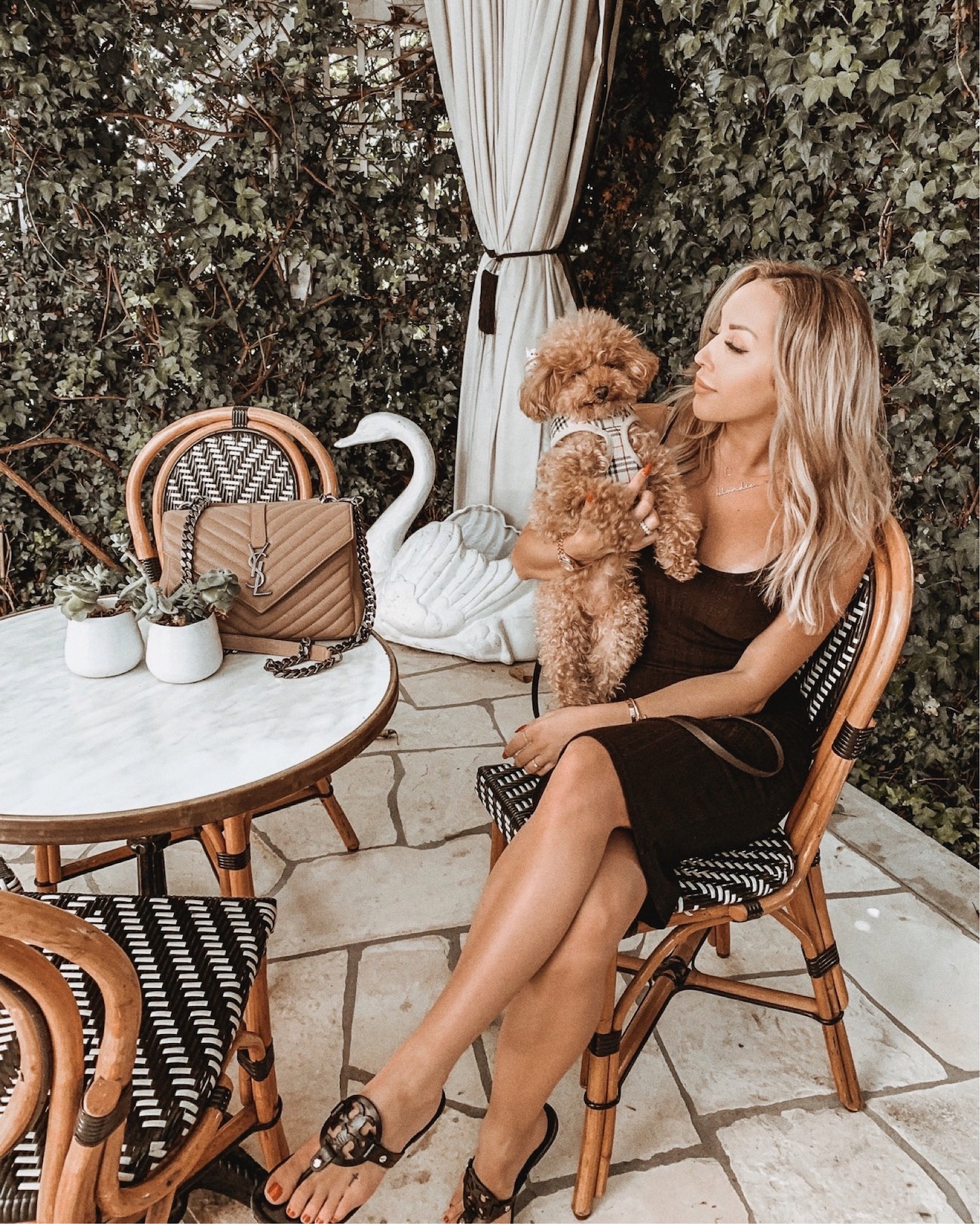 Red Maltipoo | Meela The Maltipoo | Cute Dogs | Blondie in the City by Hayley Larue