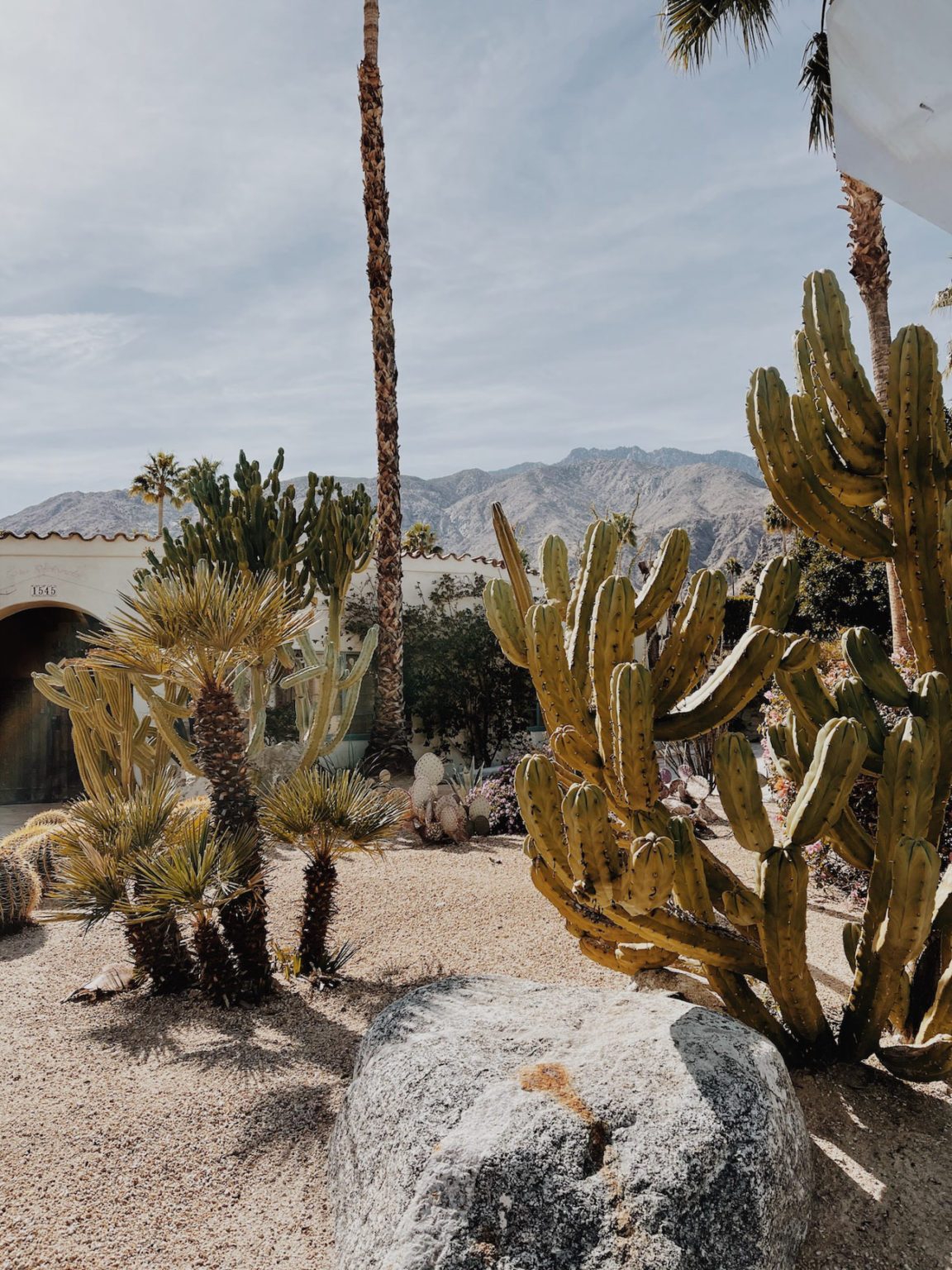 A Weekend in Palm Springs - BLONDIE IN THE CITY