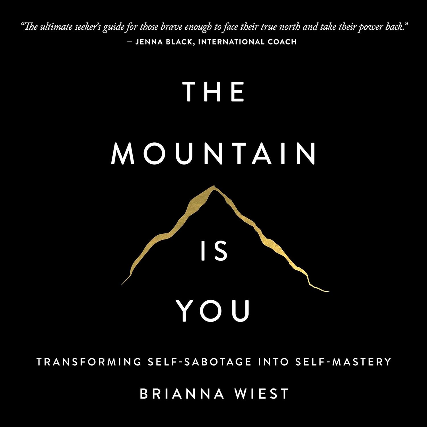 The Mountain is You: Transforming Self-Sabotage Into Self-Mastery by Brianna Wiest